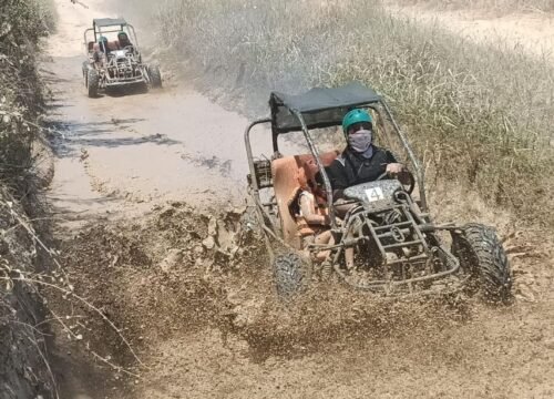 Buggy Safari
